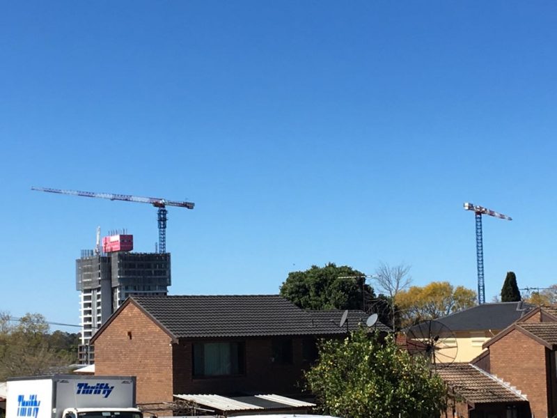 Raimondi Tower Crane